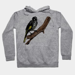 New Holland Honeyeater art Hoodie